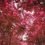 Mabel Meyer - @jamessnyder_726456 - Instagram