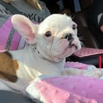 Mabel Mills - @mabelpearlmills - Instagram