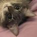 Mabel &amp; Morris - Facebook