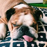 Mabel Morris - @mabel_sugar - Instagram