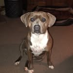 Mabel Morris - @mabelmorris8 - Instagram