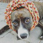Mabel Morris - @flower_princess_mabel - Instagram