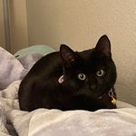 Mabel Teach me How to Dougie Morris - @mabeldougiemorris - Instagram