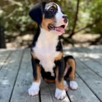 Mabel R. Morrison - @mabelmeetsworld - Instagram