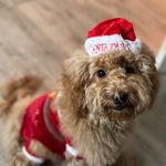 Mabel mott - @mott.mabel - Instagram