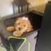Mabel Mott - Facebook