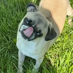 Mable Mullins - @morningswithmablem - Instagram