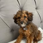 Mabel Murray - @mabelmurrayy - Instagram