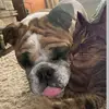 mabel+Murray - @mabelmurray17 - TikTok
