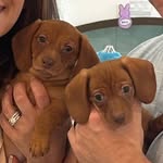Murray & Mabel - @_murrayandmabel_ - Instagram