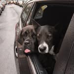 Mabel And Willie Nelson - @mabelandwillienelson - Instagram