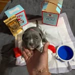 mabel newman - @mabelnewman405 - Instagram