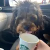 Mabel Ney - @missmabel1221 - TikTok