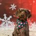 Mabel Noble - Facebook