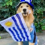 mabelnoble - @mabelnoble62 - Instagram