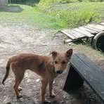 Mabel Agus - Facebook