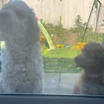 Mabel and oakes - @mabel_and_oaks - Instagram