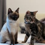 Mabel & Oliver - @_olimabel - Instagram