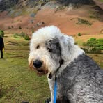 Mabel Oliver - Facebook