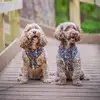 Oliver & Mabel - @oliver.and.mabel - TikTok
