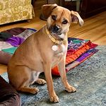 Mabel Olson - @mabel_olson2021 - Instagram