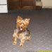 Mabel Orr - Facebook