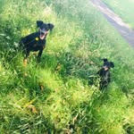 Ottoandmabel - @ottoandmabel - Instagram