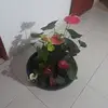 Mabel Pacheco - @mabel.pacheco3 - TikTok