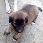 Mabel Pacheco - Facebook