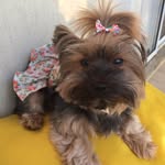 Mabel - @paternostromabel - Instagram