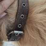@mabel.patterson.5797768 - Instagram