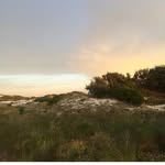 Mabel Pettyjohn - @mabelpettyjohn - Instagram