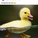 Mabel Pineda - Facebook