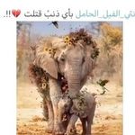 @mabel.porter.9013000 - Instagram