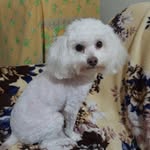 Mabel Prado - @mabelprado660 - Instagram