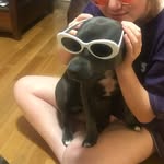 mabel pye - @mabelpye - Instagram