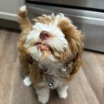 Mabel Quinn - @mabelquinnsinai - Instagram