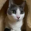 mabel quinn - @mabel.quinn5 - TikTok