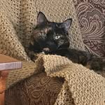 Mabel - @mabelreed0906 - Instagram
