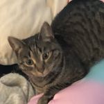 Mabel Ritchie - @karmasutramom - Instagram