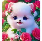 Mabel Rocha - Facebook