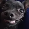 Mabel rocha - @mabelrocha5025 - TikTok
