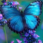 Mabel Rubio - Facebook