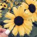 Mabel Saiz - Facebook
