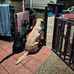 Mabel Saiz Ruiz - Facebook