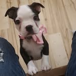 Mabel Schmidt - @mabelannieschmidt - Instagram