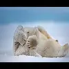 Mimi - @mabelandschwabel - TikTok