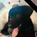 Mabel Sierra - Facebook
