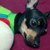 Mabel Souza - @mabelsouza1974 - TikTok