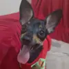 Mabel Souza - @mabel.souza39 - TikTok